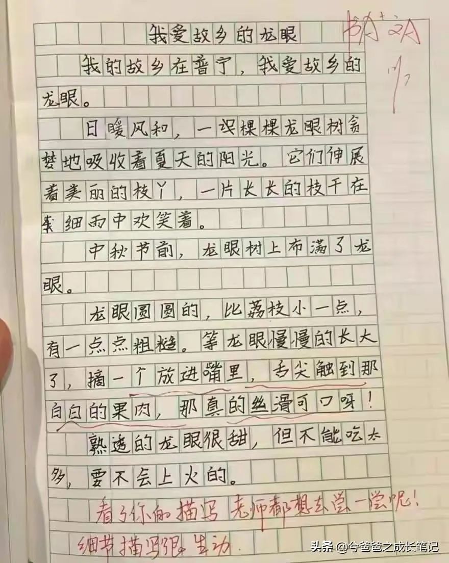 初高中阶段学生写作文，多写故事，少写道理