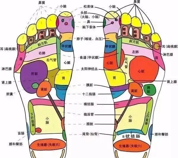 比跑步和遊泳更簡單！癌症都怕它，還能升免疫，人人都能做！ 健康 第5張