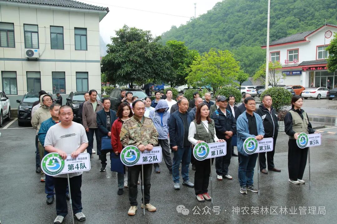2026年观鸟活动在神农架新华林场正式启动