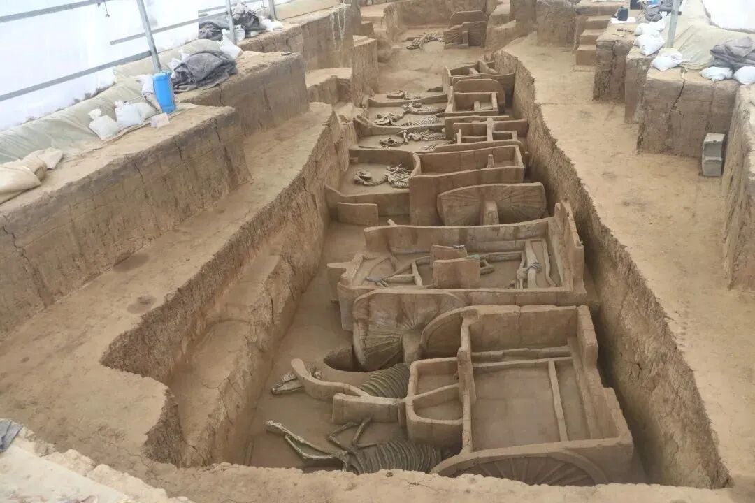 穿越千年它们终于重见光明