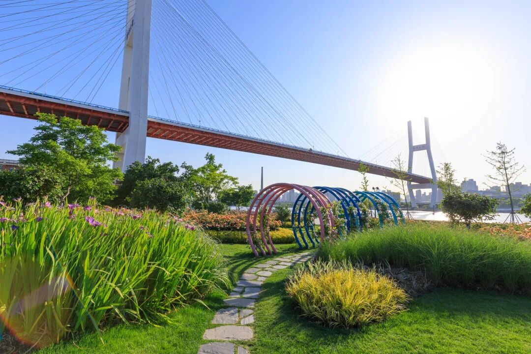 来滨江这个梦幻月季园与三件套同框