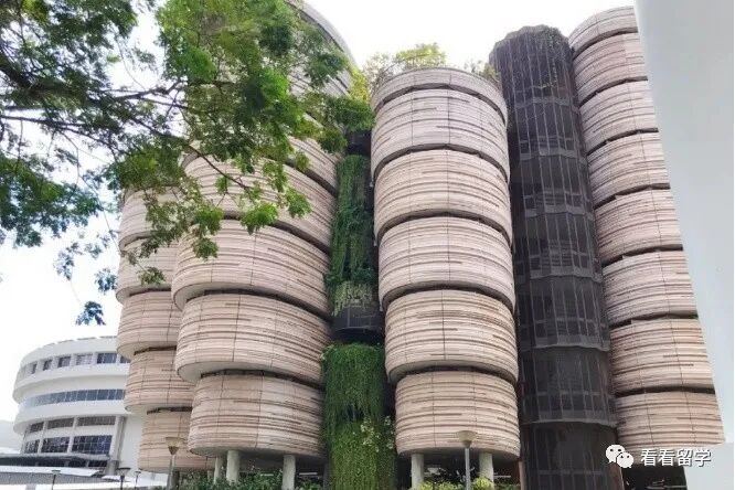 疫情后，新加坡留学真香！