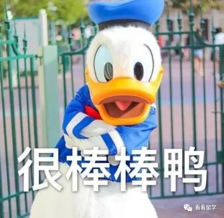 疫情后，新加坡留学真香！