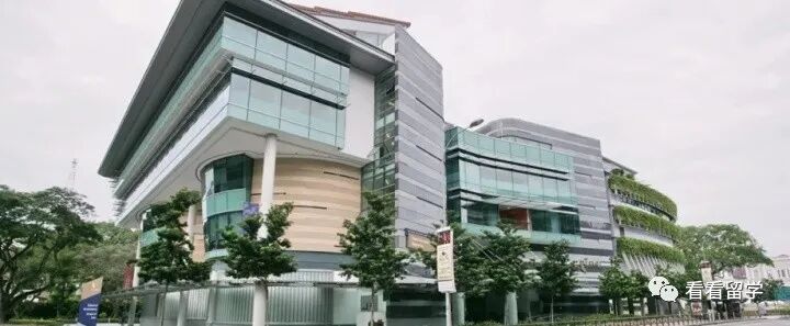 疫情后，新加坡留学真香！