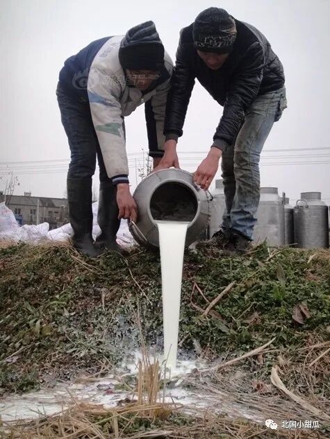 蒙牛伊利合伙坑苦中国人？您的怒火，可能毁了中国这个行业（组图） - 15