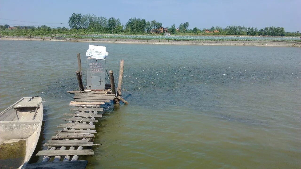 复硝酚钠在渔肥，培养小球藻和光合细菌上的应用