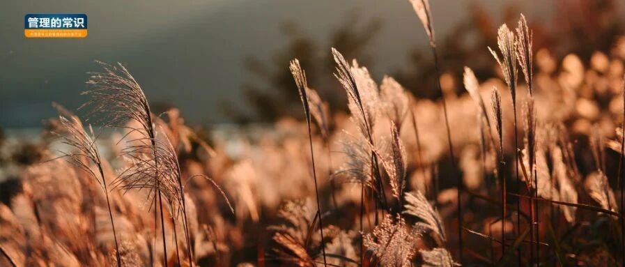 曾国藩：一生坎坷，才懂的3层道理