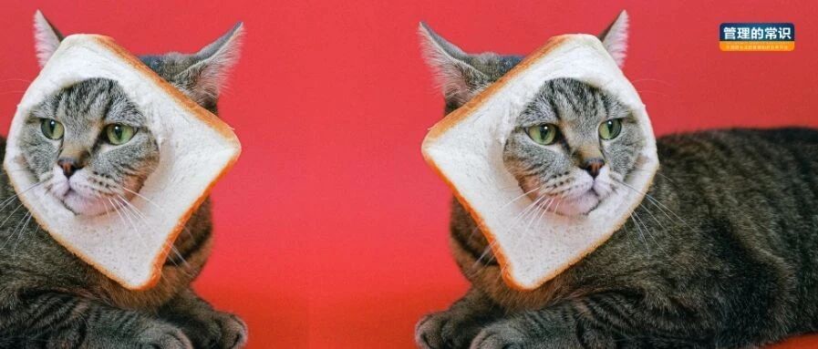 春节吃不胖指南，看这一篇就够了