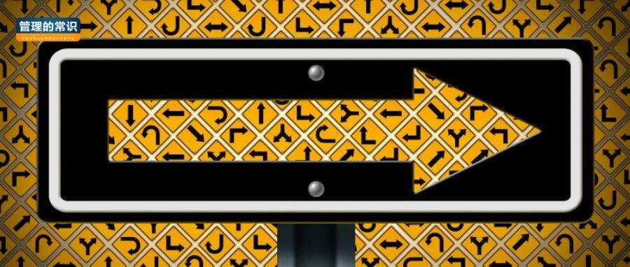 中年高管突围记