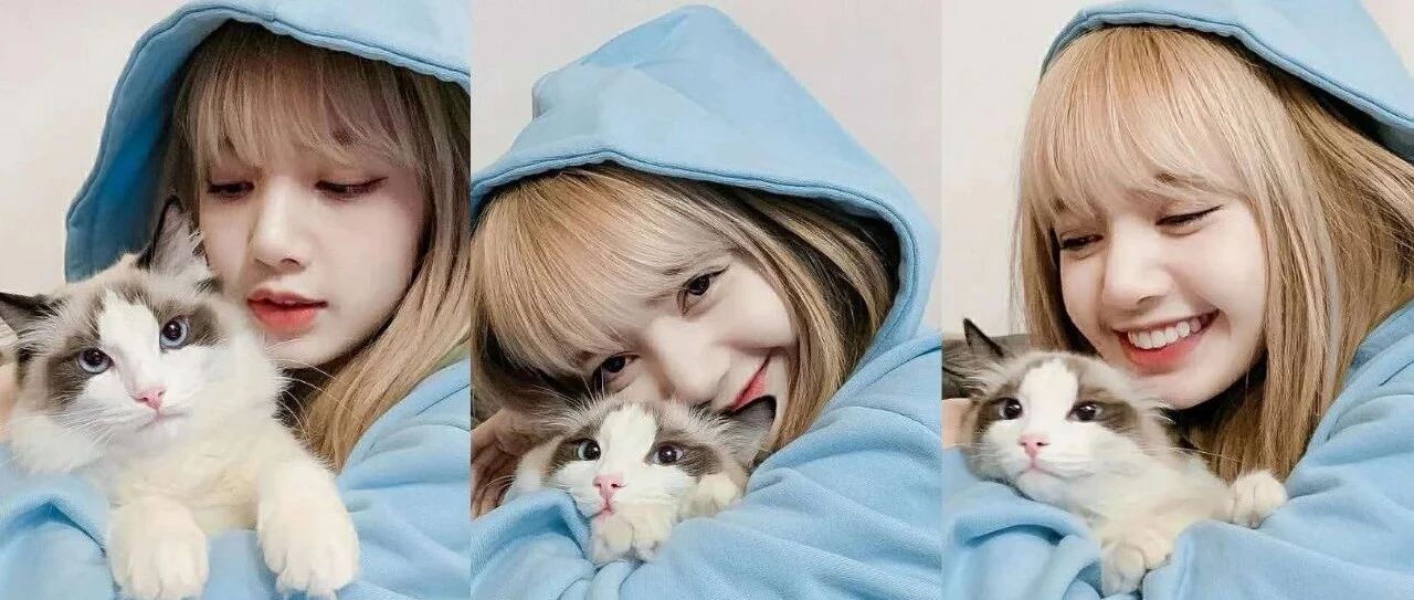 lisa回归被粉丝骂成这样，有必要？