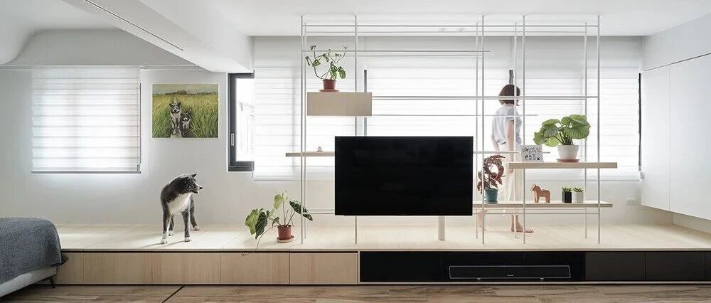 她买下90㎡老房，为心爱的狗狗造个舒适家！