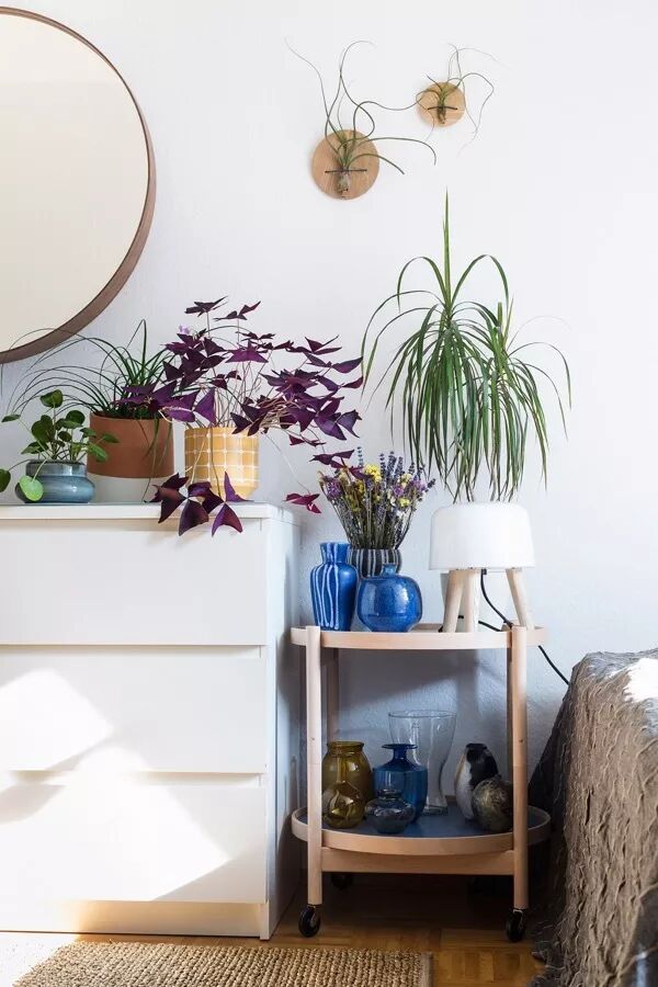 放床头的不一定非得要这些 还可能是这些有趣的玩意