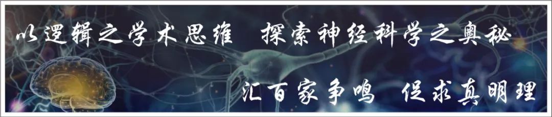 怎么销售透化治疗系统Mol Neurobiol 综述︱温州医科大学倪文飞／周凯亮团队关注细胞外囊泡在治疗中枢神经系统创伤中的重要作用_https://www.jmylbn.com_新闻资讯_第1张
