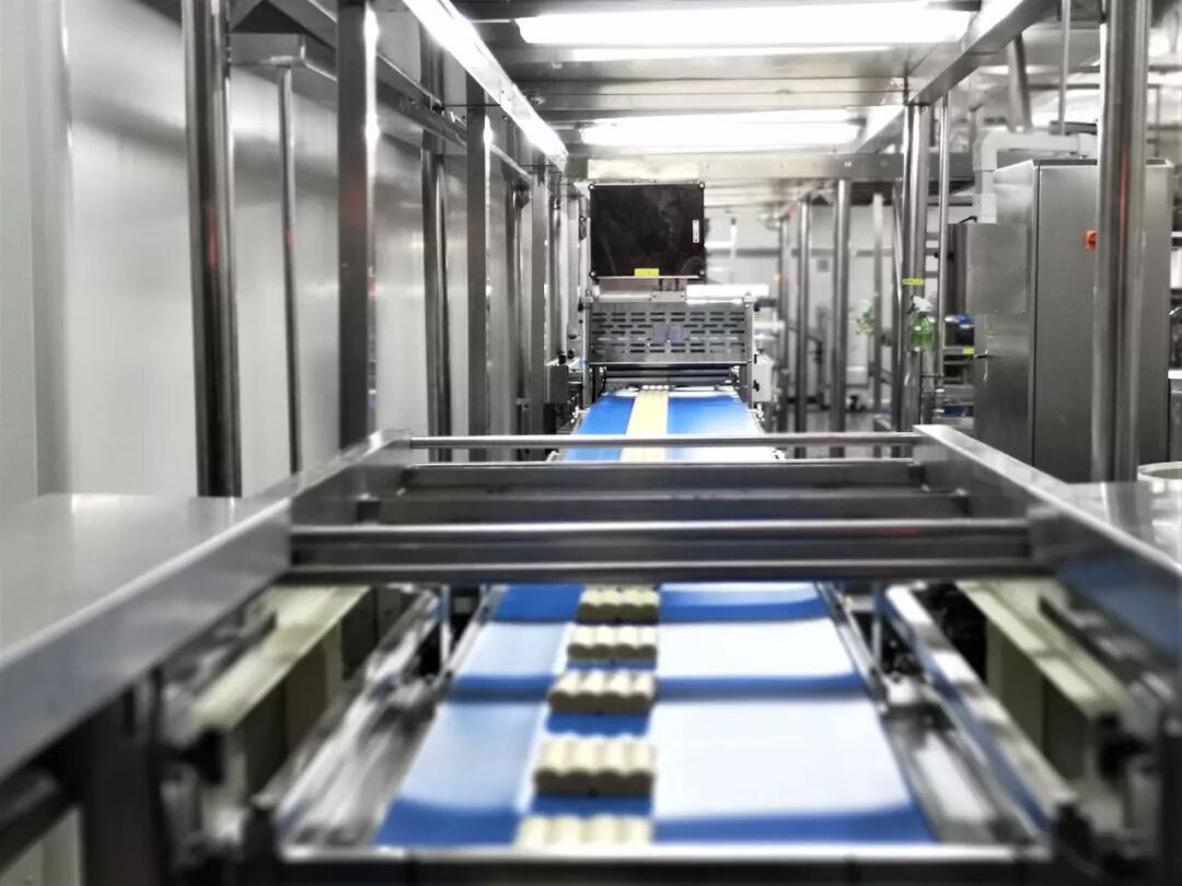 杜家毫调研盐津铺子烘焙中心项目情况