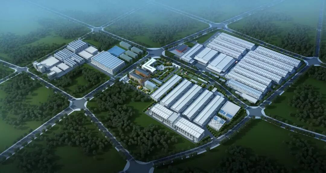 杜家毫调研盐津铺子烘焙中心项目情况