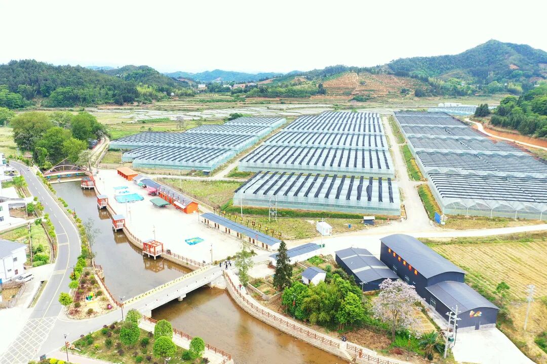 喜讯鹤子镇阳佳村党支部荣获省级2021年度乡村振兴模范党组织称号