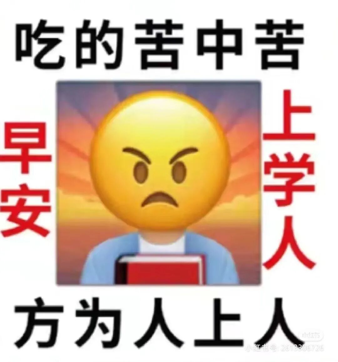当代大学生网课行为图鉴——附网课自救指南