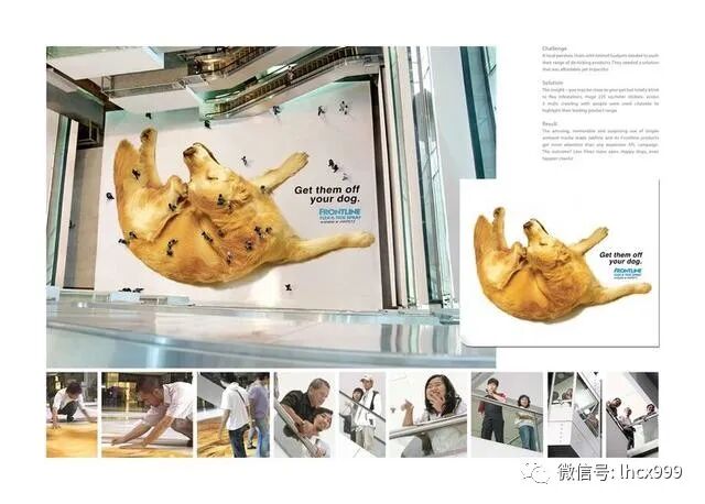 微信图片_20200303191817.jpg