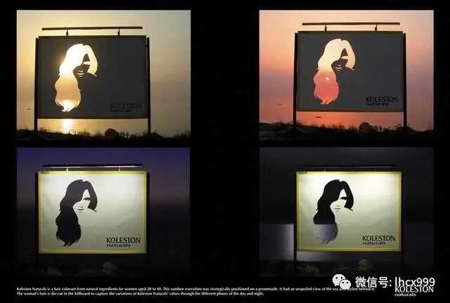 1583234449477480.jpg