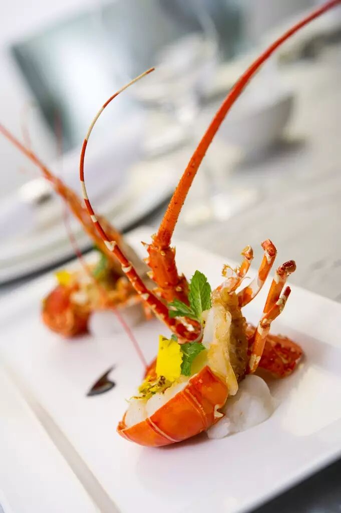 几十年的主厨经验不是盖的,每一道菜的摆盘都如此精致