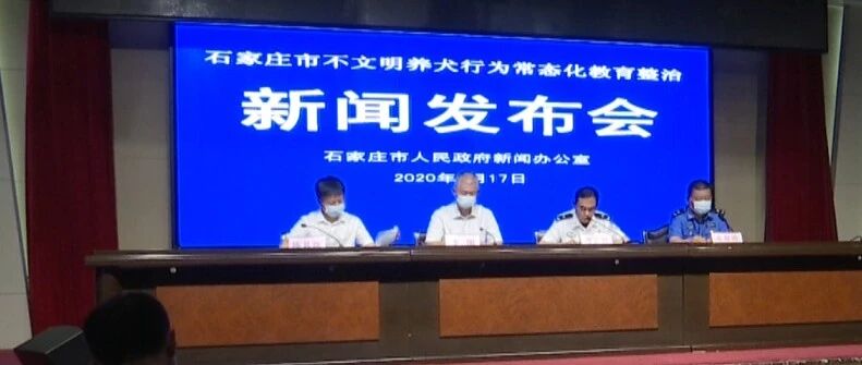 石家庄将严查！养狗这么做，最高罚款1000！