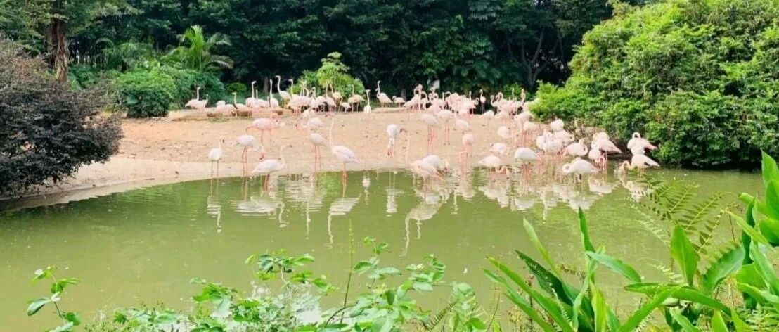 这里是中国最强鸟类保护、科普中心，娃们去了就不舍得走