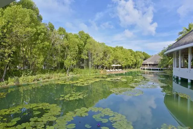 泡酒店想玩無邊泳池？這家入住即配私人湖泊，普吉價秒殺豪華島嶼 旅遊 第2張