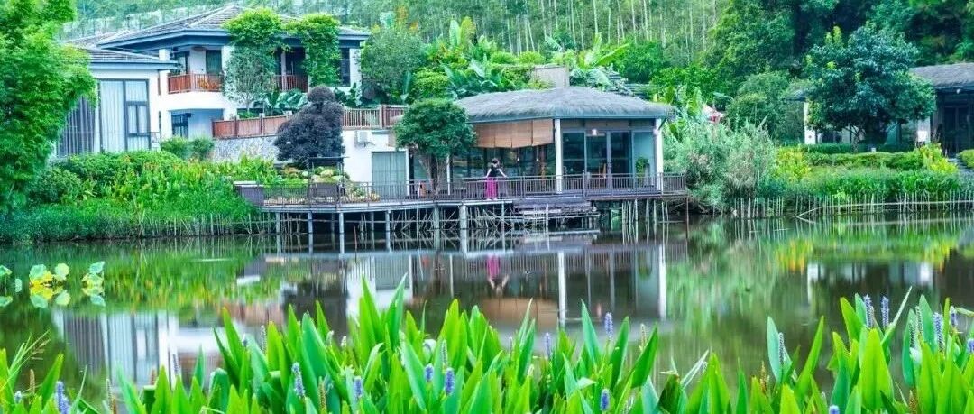 珠三角出发，1小时可达的风情“小京都”