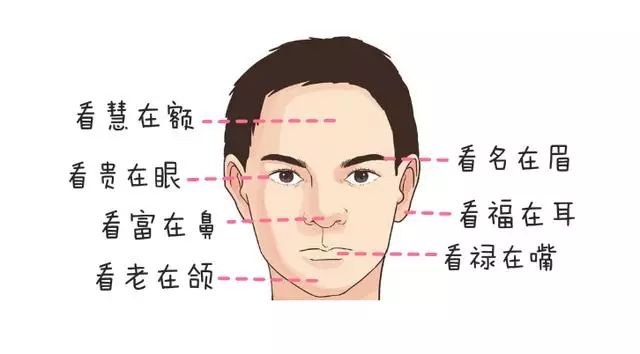 面相学：“看富看耳”！看看你是什么命!