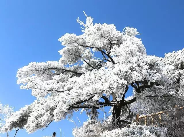 老君山冬雪,歲月靜好-北京和翔航空科技有限公司