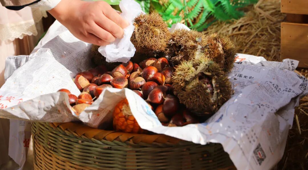 礼赞丰收，致敬农民｜看老君山里花式庆丰收！