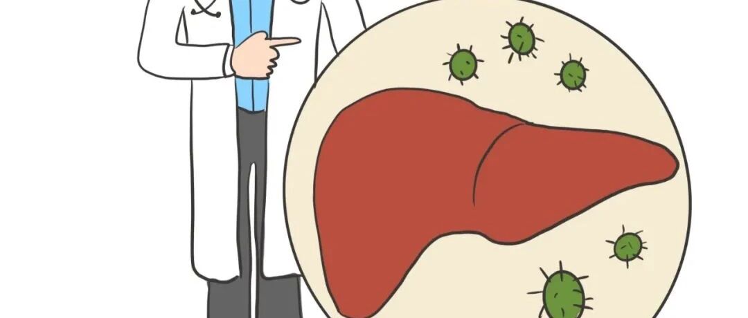 乙肝病毒携带者需要注意什么？