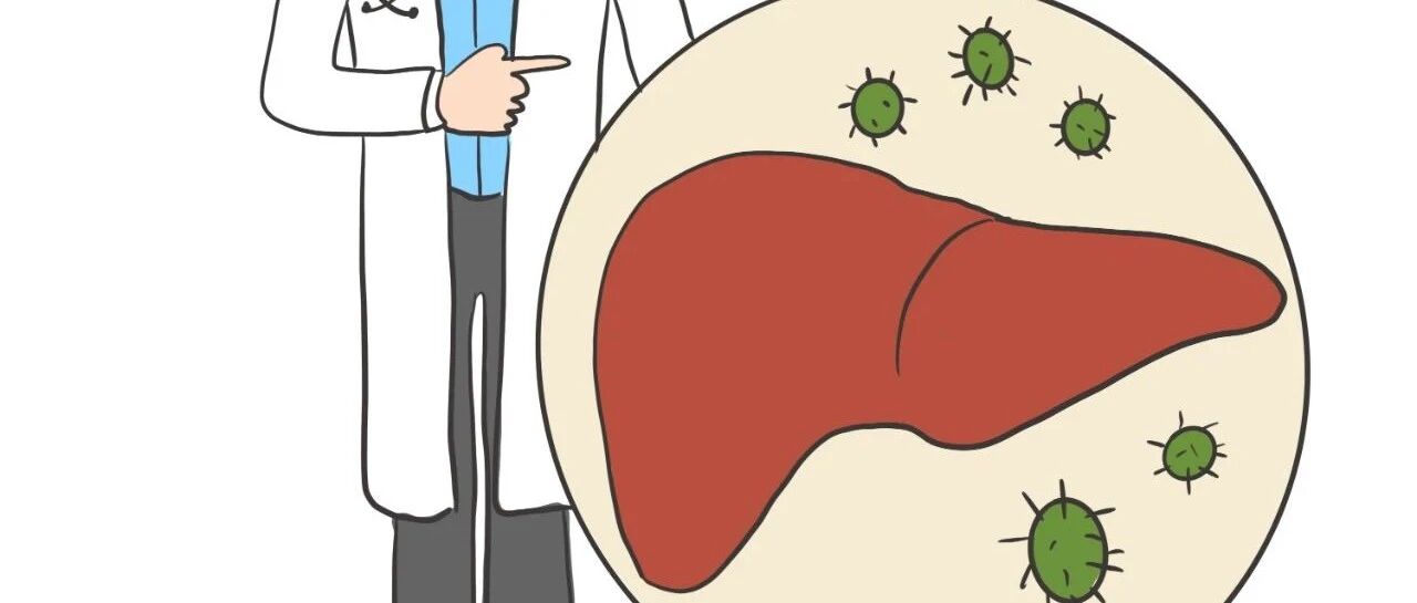 【科普】乙肝病毒感染为什么很难彻底治愈？