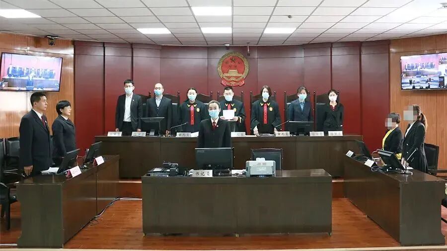 河北一公司黑飞被起诉 被判决赔偿国防战备资源损失、公开道歉的图1