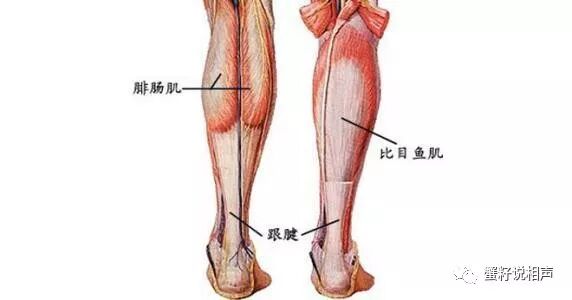 瘦腿针风险_瘦腿针有危害_瘦腿针有风险吗