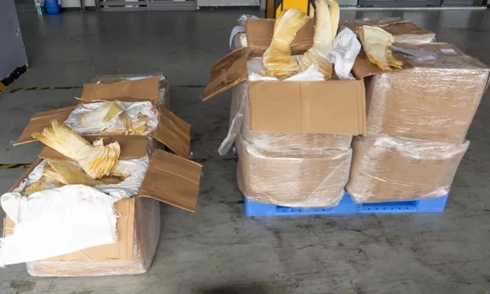 2025年7月份重卡市场销售同比增长46%，5家企业销量超万，重汽继续领跑