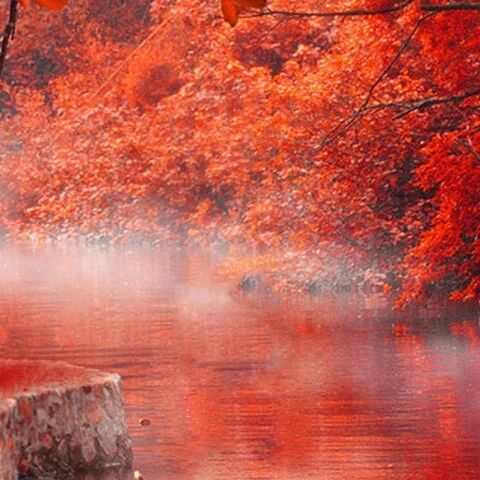 大美镇安 夏游海棠山 自由新闻