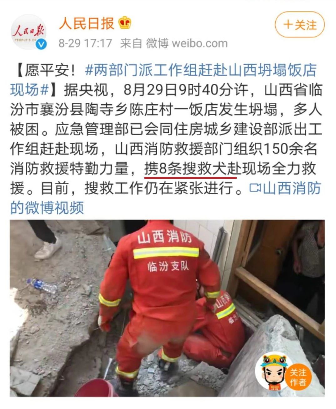 餐馆坍塌29人遇难！8只搜救犬紧急赶往现场，英