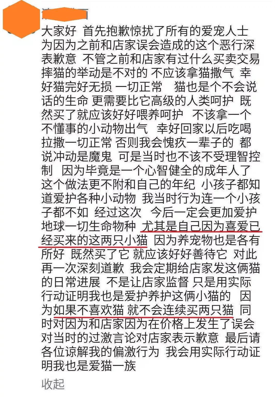 退貓不成當眾虐貓，竟然還口口聲聲說自己愛貓？ 寵物 第16張