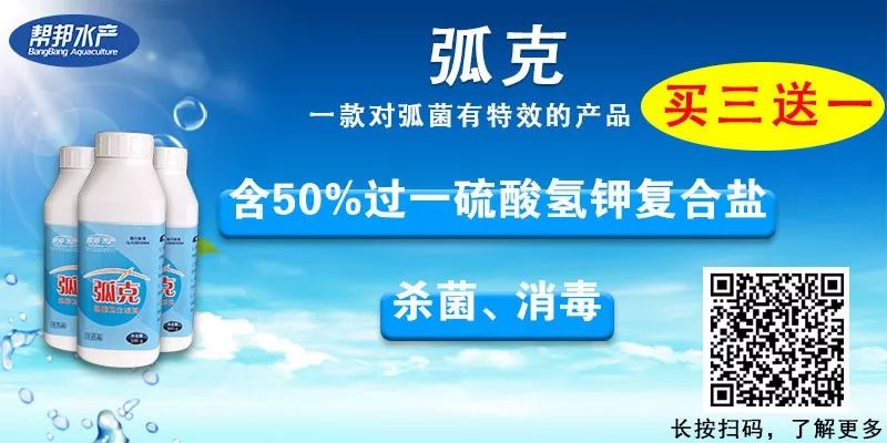 致富经养甲鱼_致富经甲鱼养殖技术视频_养殖甲鱼富豪