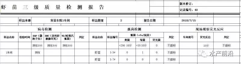 致富经养甲鱼_致富经甲鱼养殖技术视频_养殖甲鱼富豪