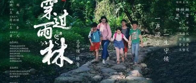 【青春语文•朱琬玉专栏】穿过教育的雨林
