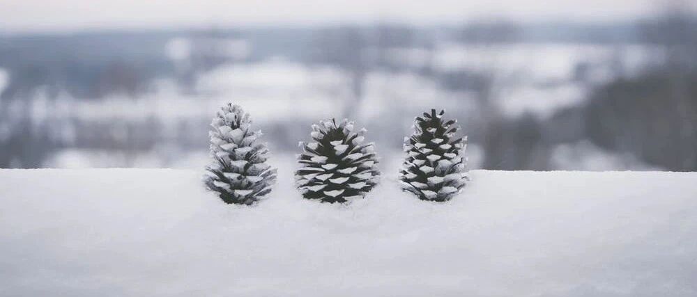 一个老电信人的“云转数改”冷思考