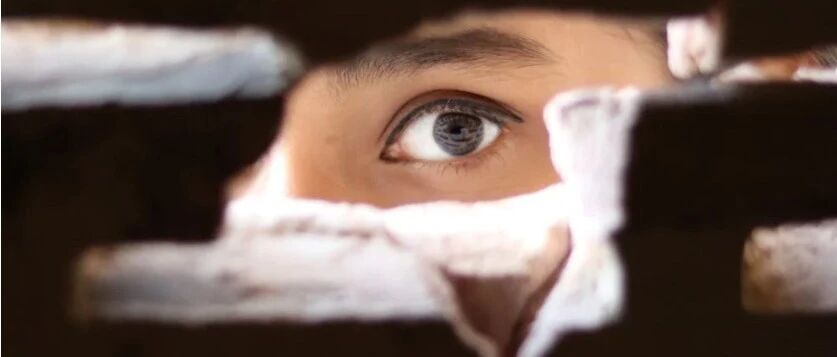 我的领导不是人