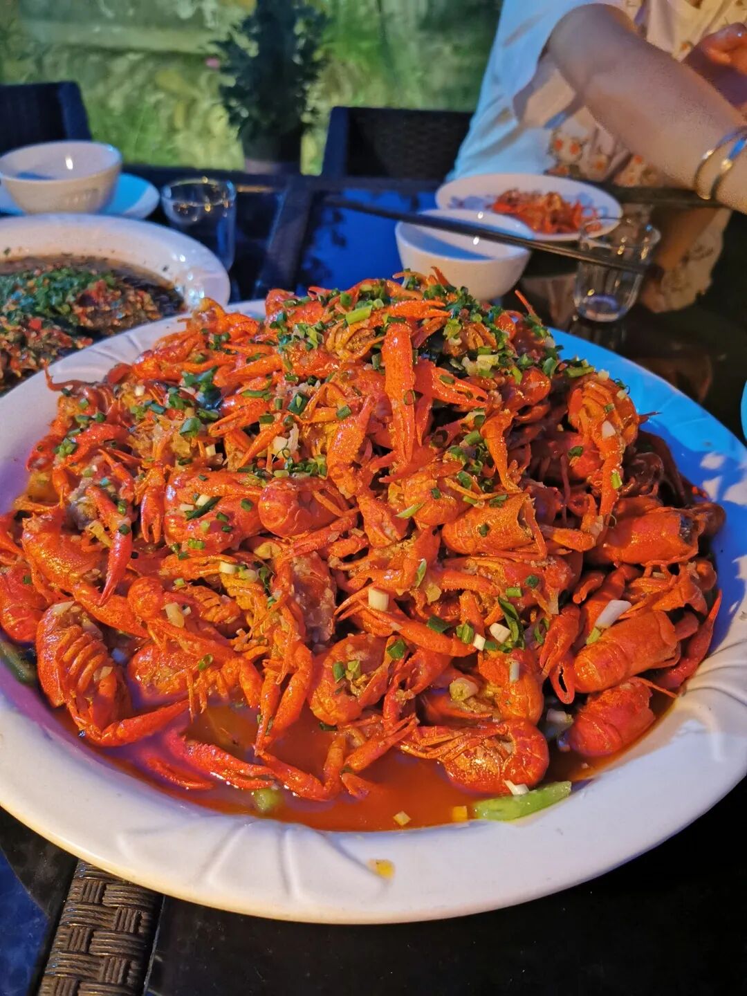 我在·你在丨菩提树下