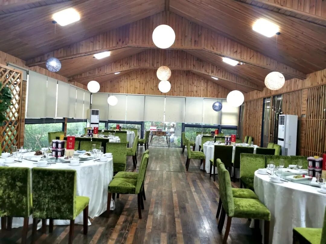 我在·你在丨菩提树下