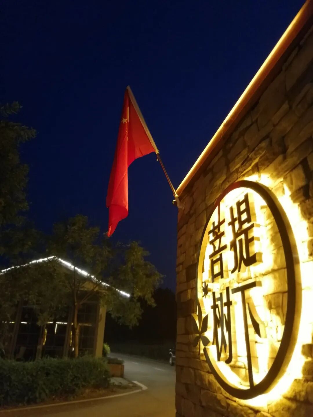 我在·你在丨菩提树下