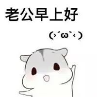 老婆撒娇表情包 老公早上好 老公中午好 老公晚安哦 搞笑表情包小师妹 微信公众号文章阅读 Wemp