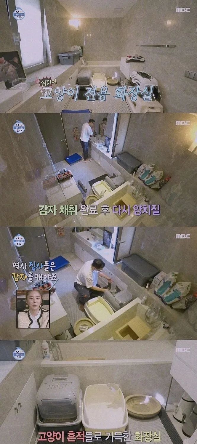 演員劉亞仁價值58億韓元的家首次曝光，一位「壞小孩」與兩隻貓 家居 第42張