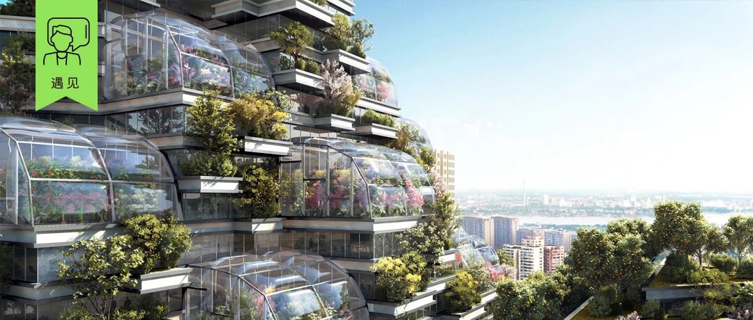 阳台上种菜会成为新一代社交潮流吗？